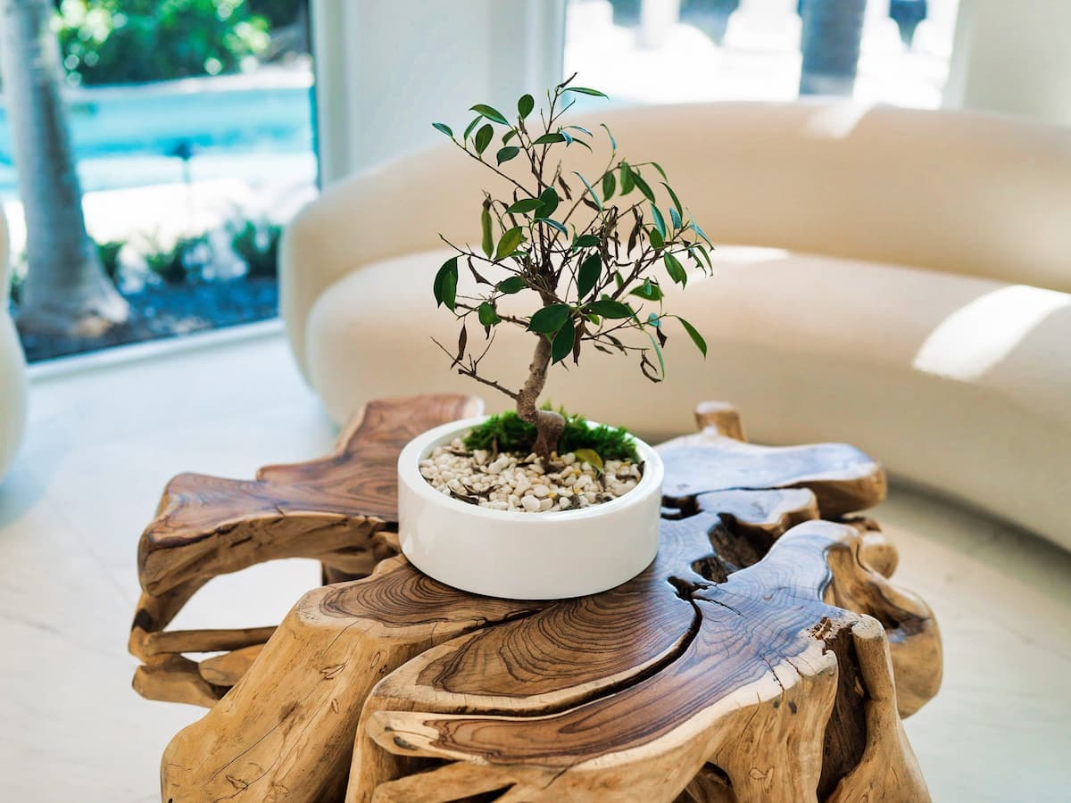 secondary amenity