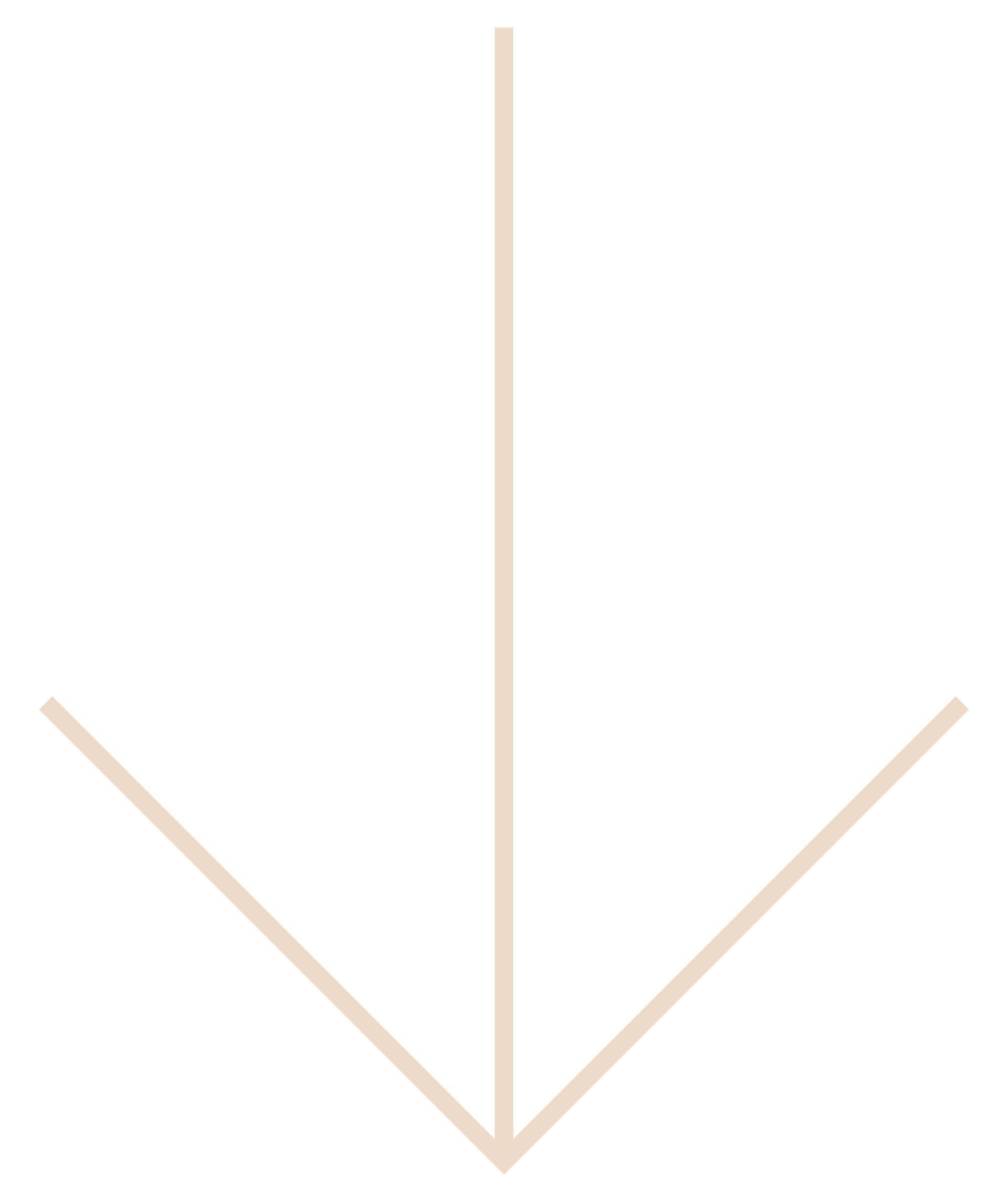 main amenity