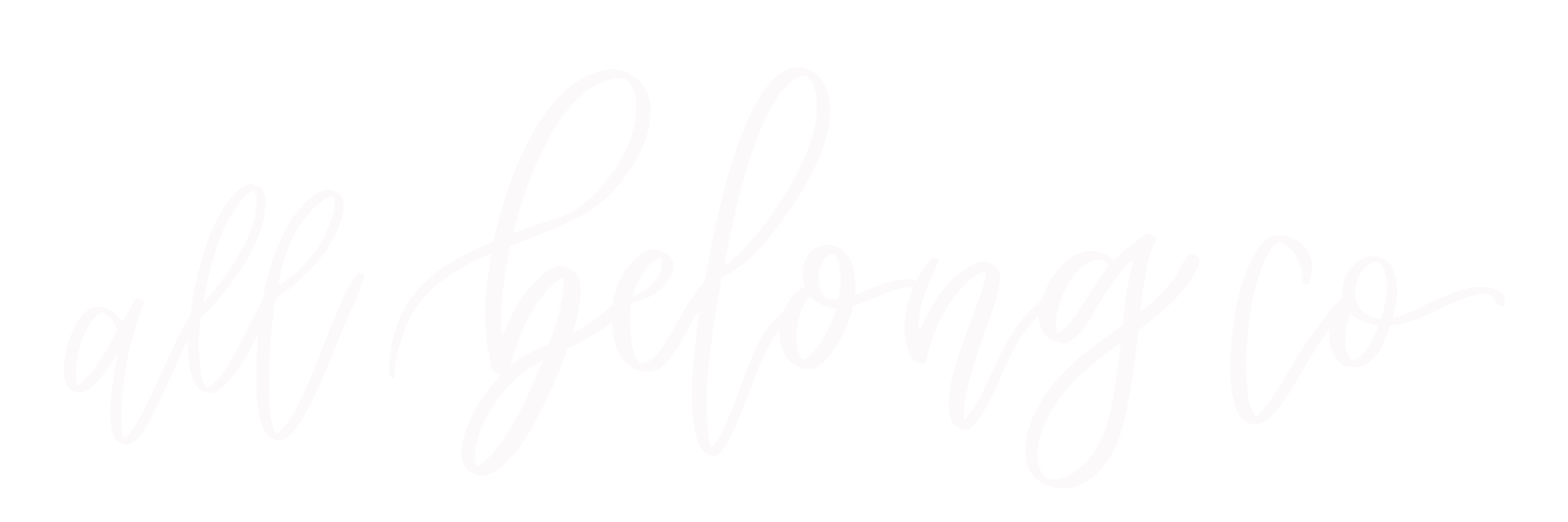All Belong Co