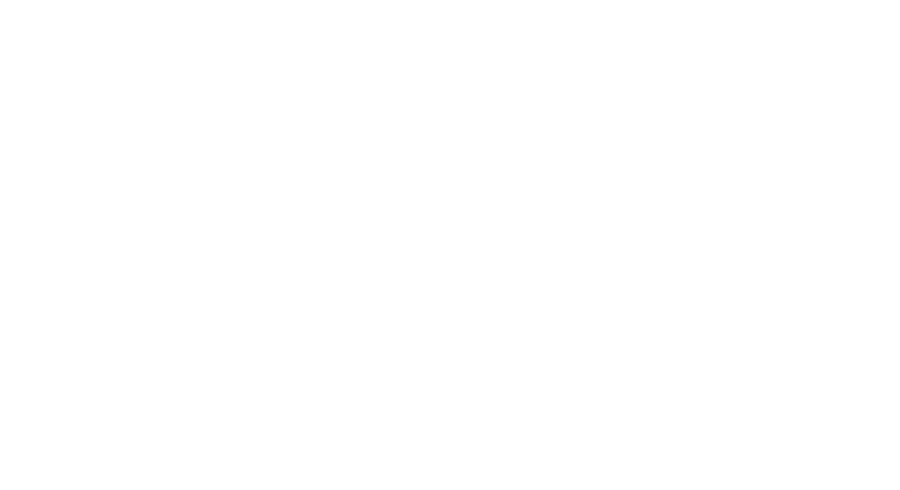 Beach Plum Properties — brand logo