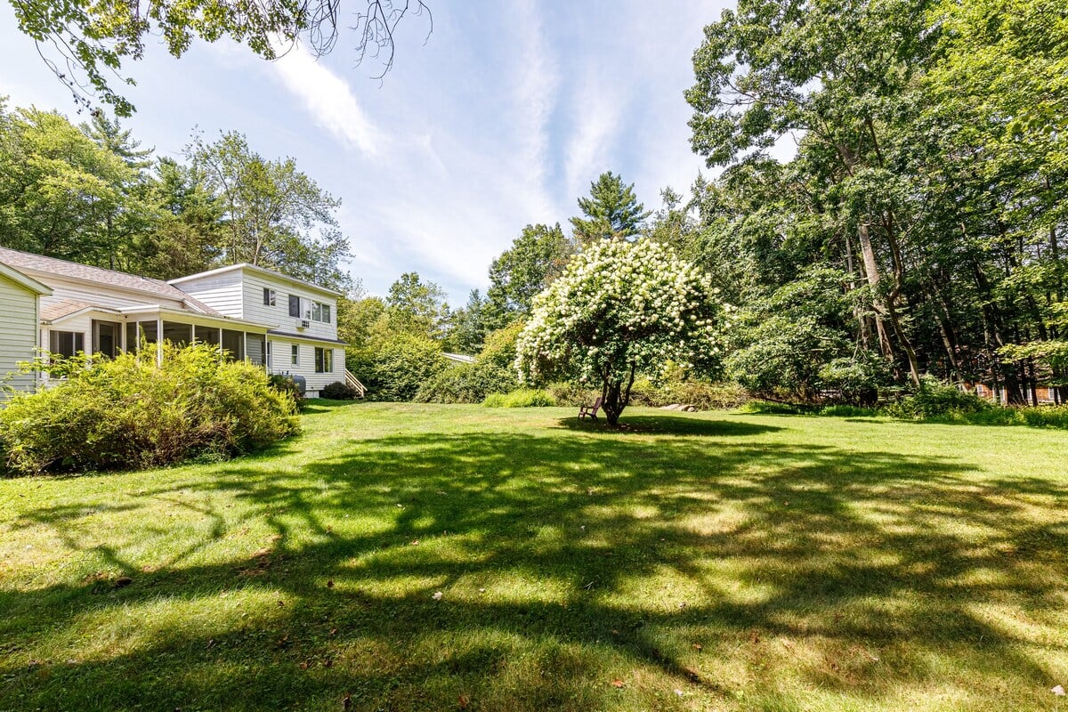 Back yard, side views. 