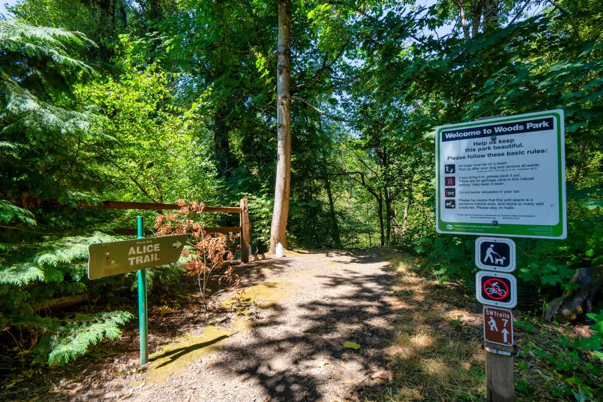 Forest Studio Oasis - Mile from Multnomah Village image 14