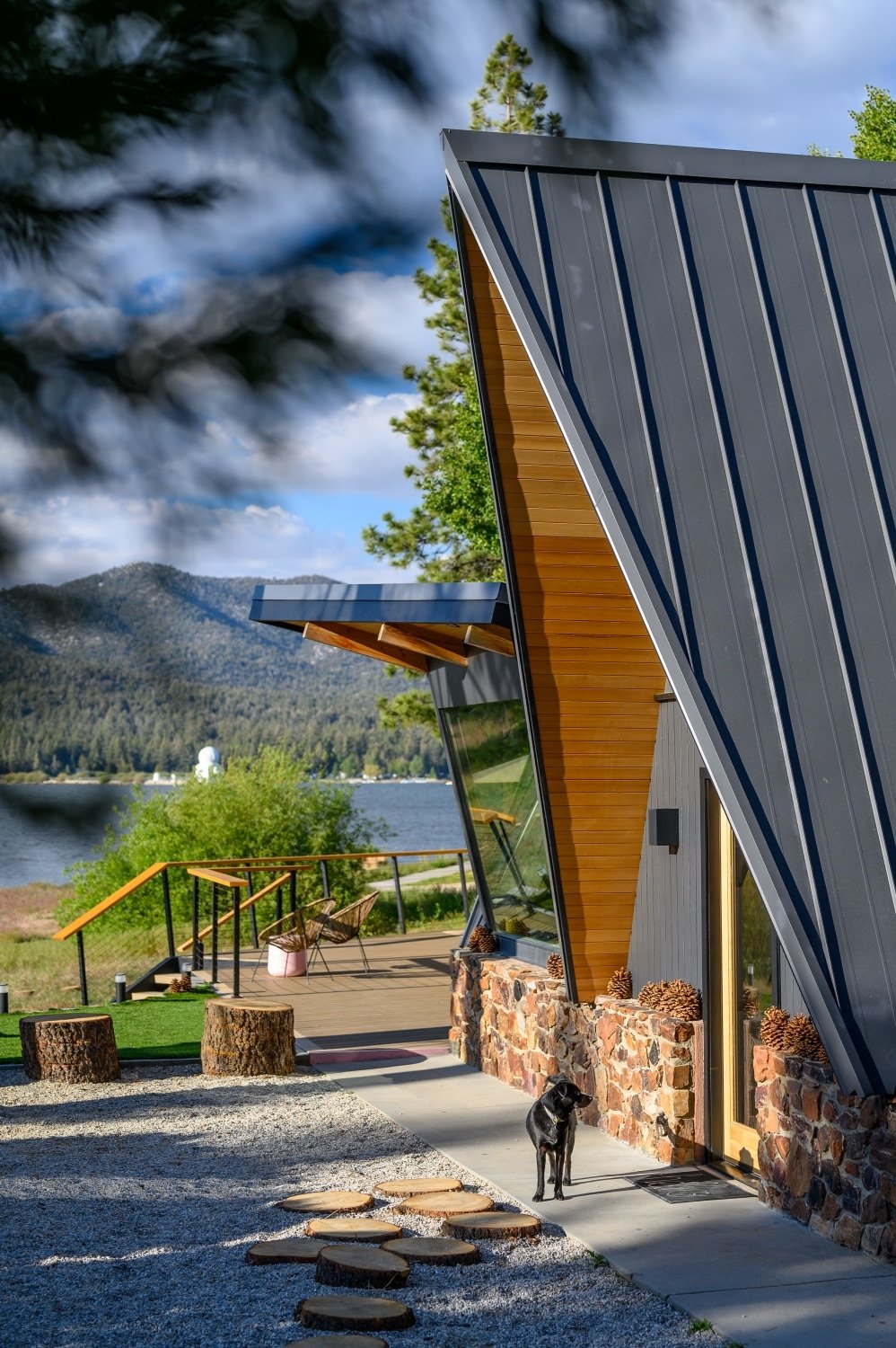 Why Yes! We are dog friendly. Bring Rex and Fido and let them run wild on the shores of Big Bear Lake and take a dip.