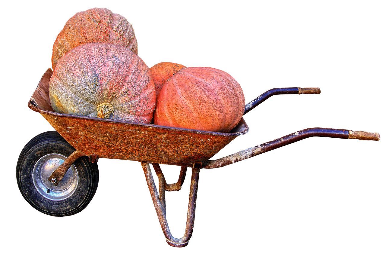 Nekoosa Giant Pumpkin Fest 2026