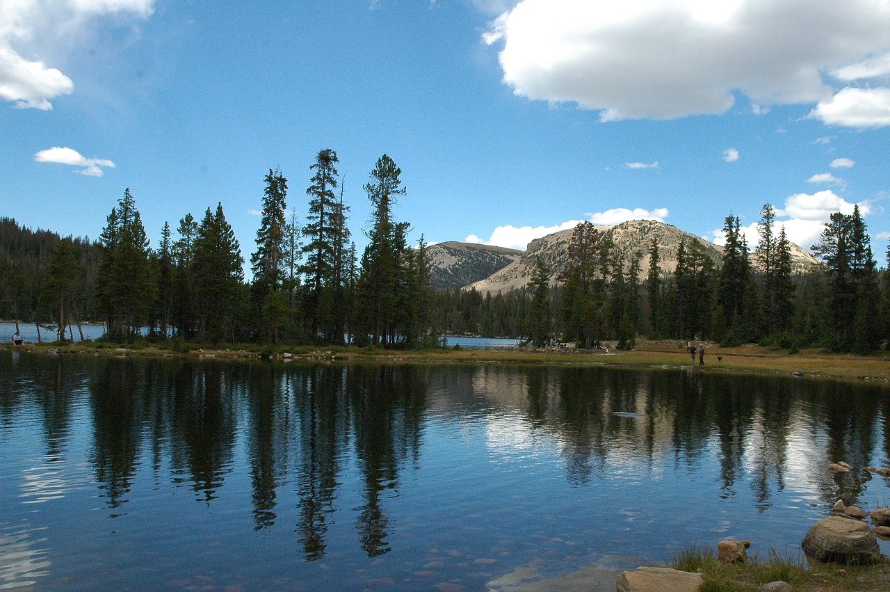 Wasatch Wildflower Festival 2026