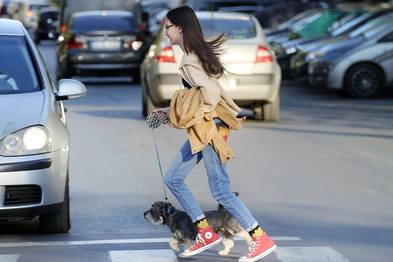 Getting Around