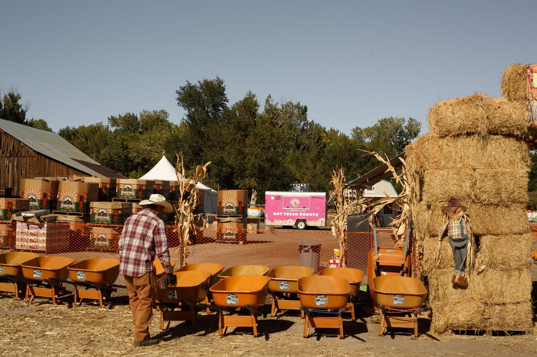 Harvest Fair 2026