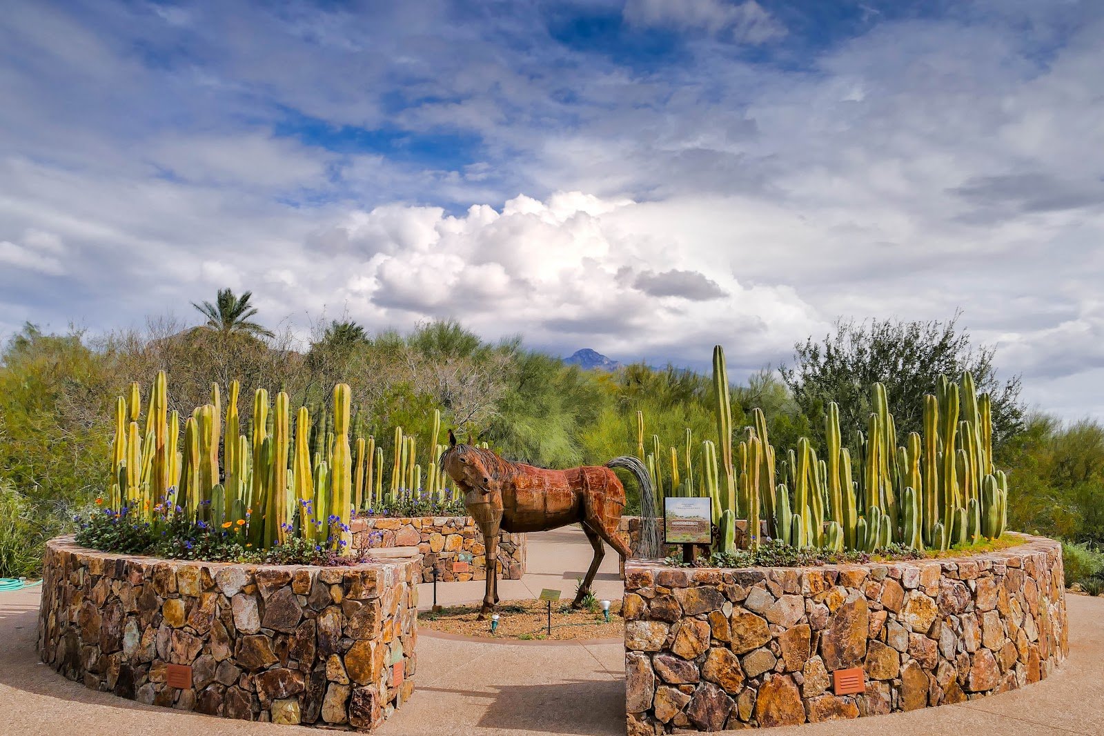 Tohono Chul Botanical Gardens, Galleries, and Bistro