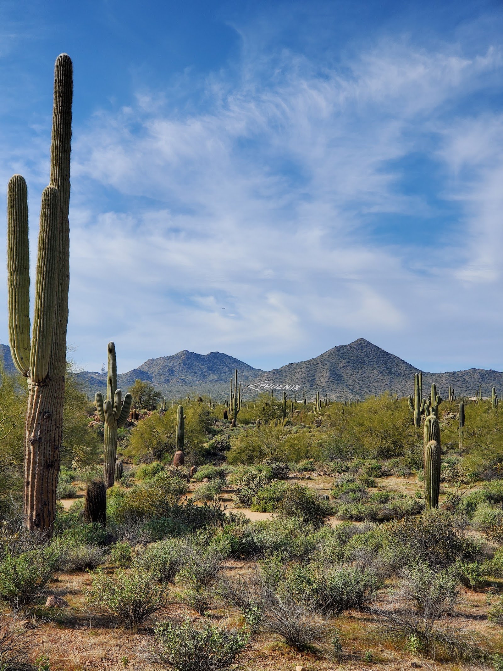 Merkle Trail
