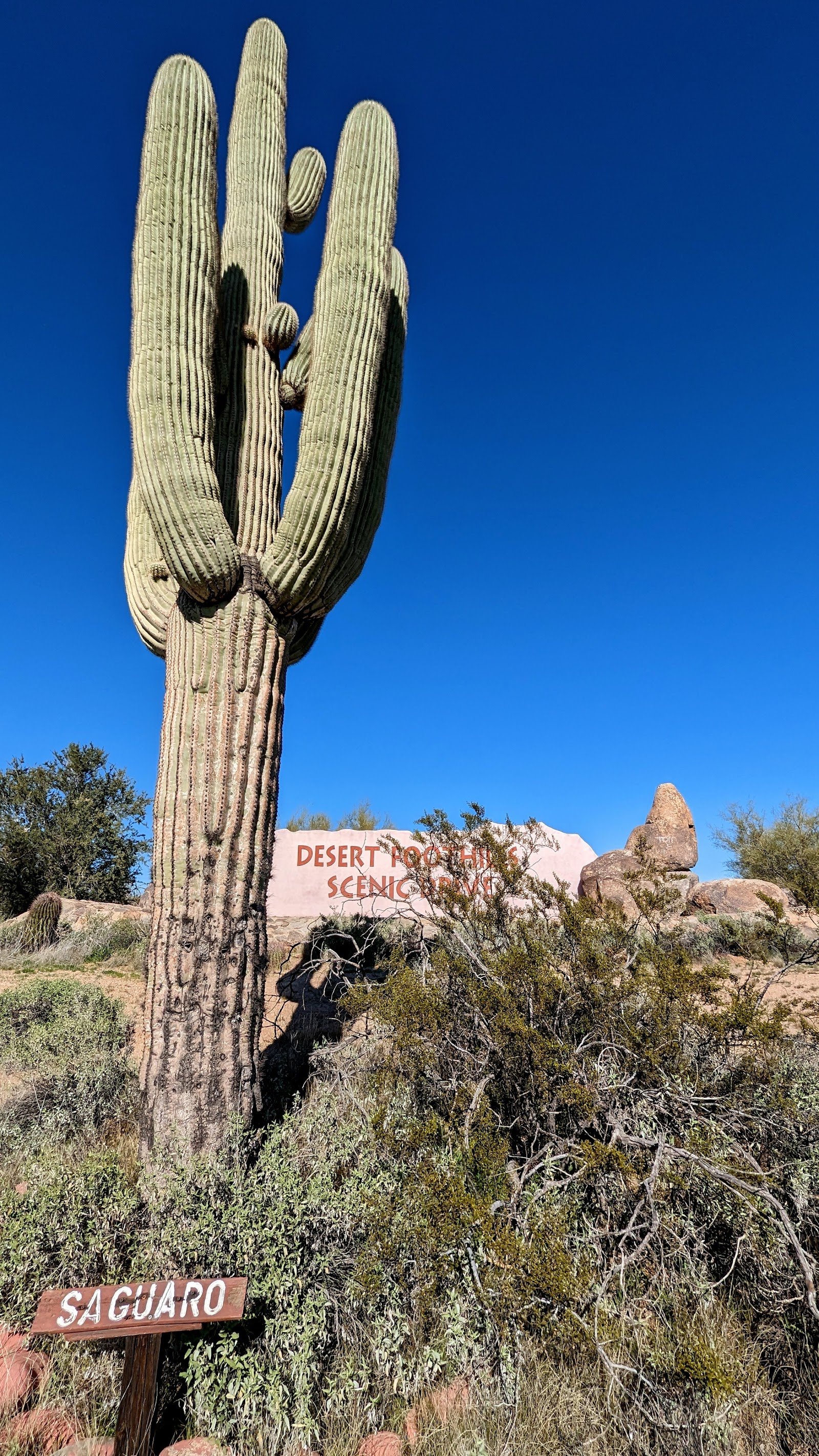 Desert Foothills Scenic Drive