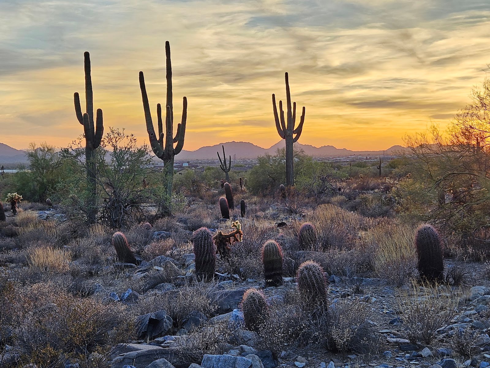 Gateway Trailhead - McDowell Sonoran Preserve