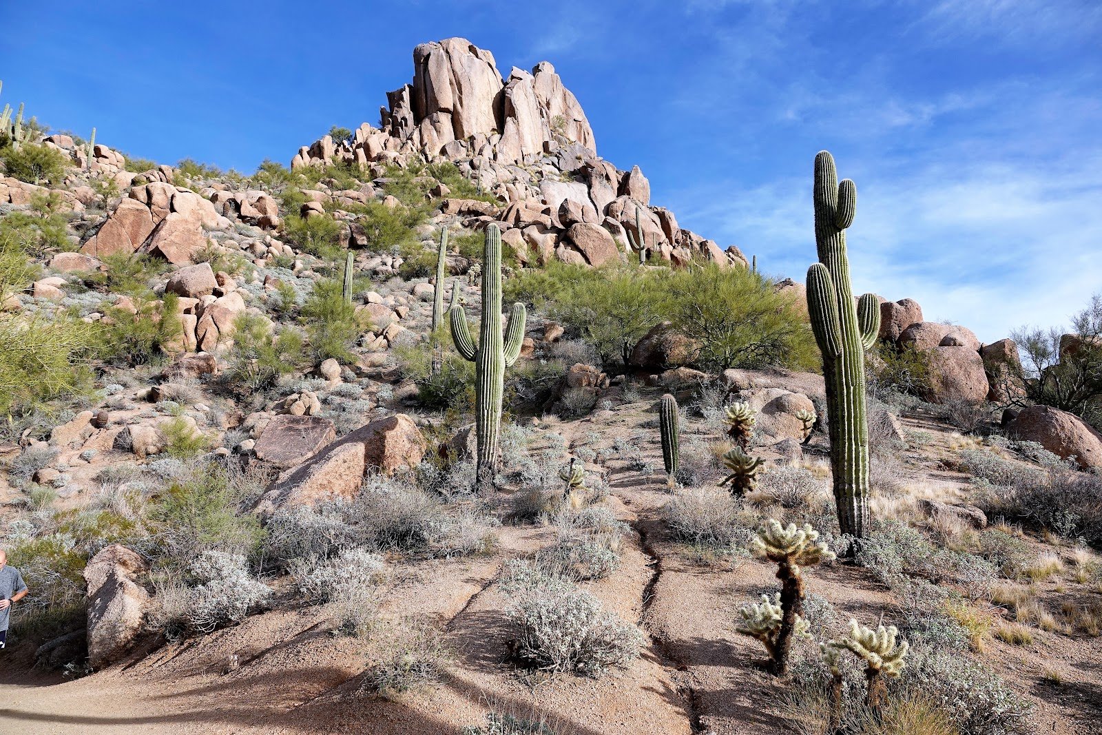 Pinnacle Peak Park