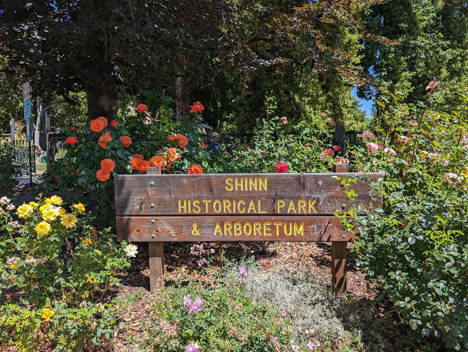 Shinn Historical Park and Arboretum