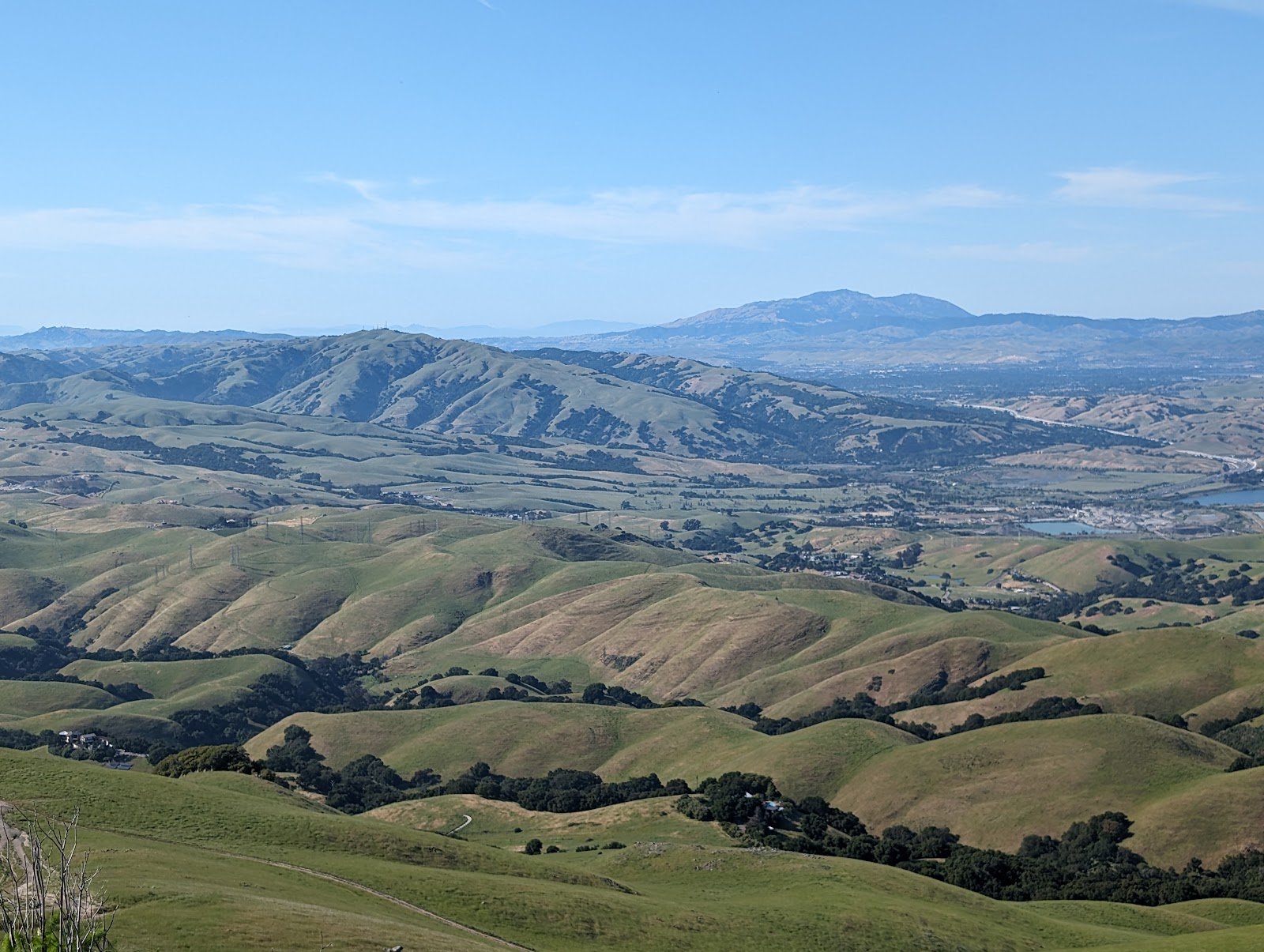 Mission Peak Regional Preserve