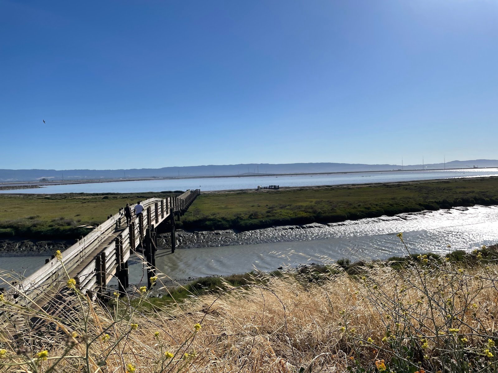 Don Edwards San Francisco Bay National Wildlife Refuge