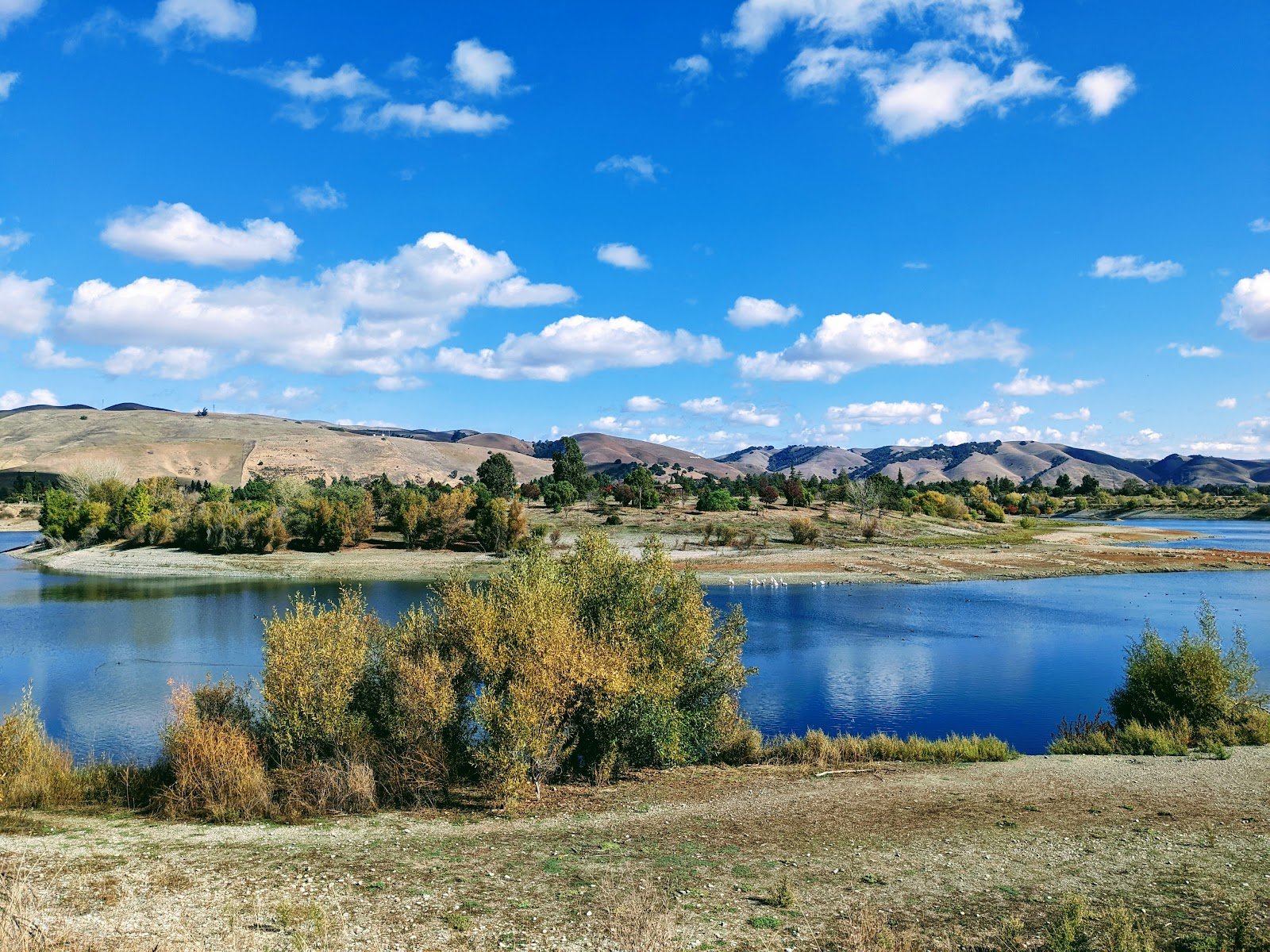 Quarry Lakes Regional Recreation Area