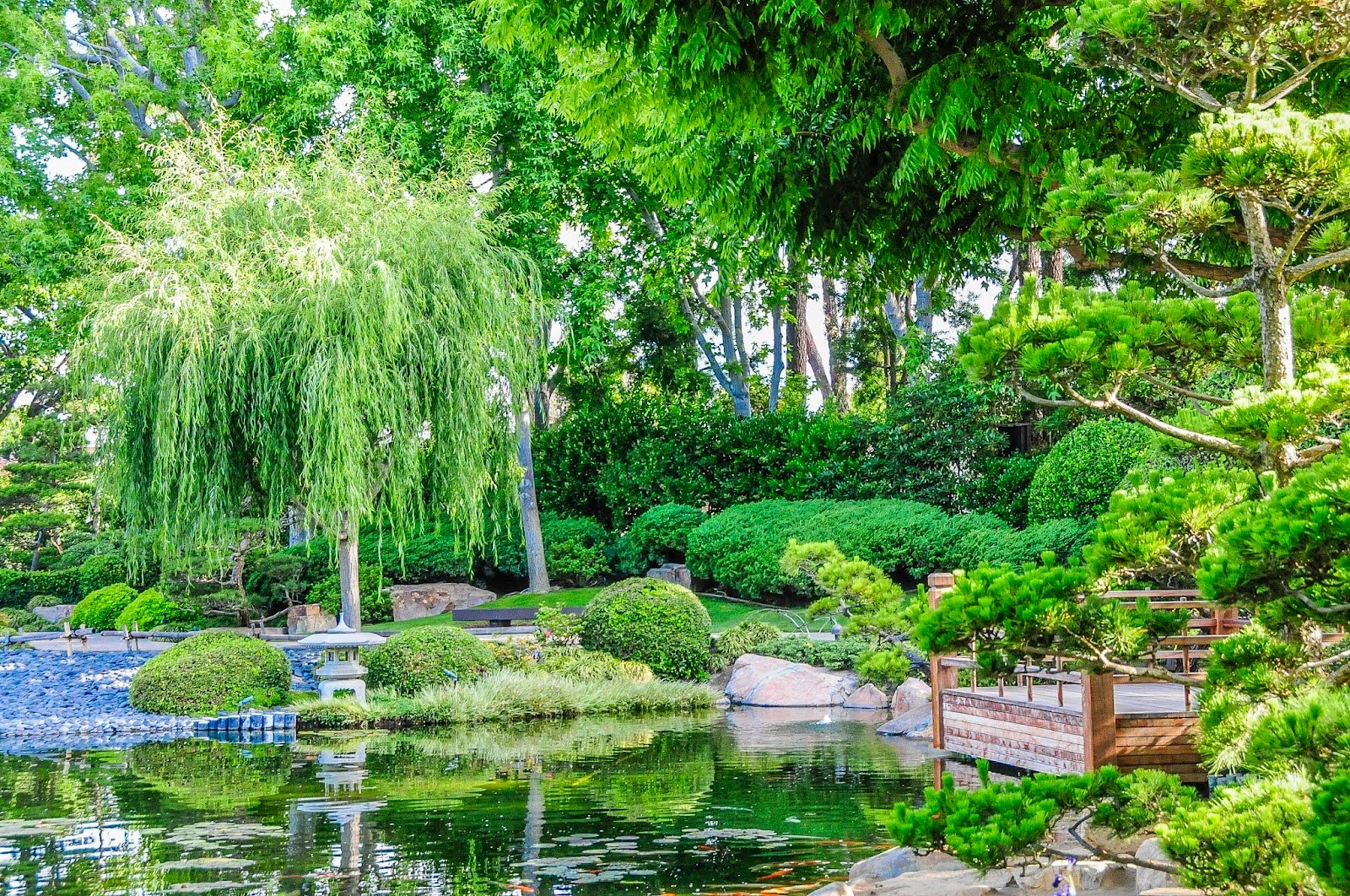 Earl Burns Miller Japanese Garden
