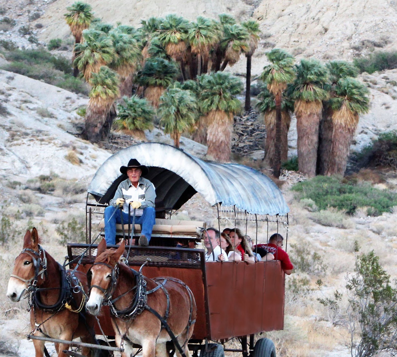 Covered Wagon Tours
