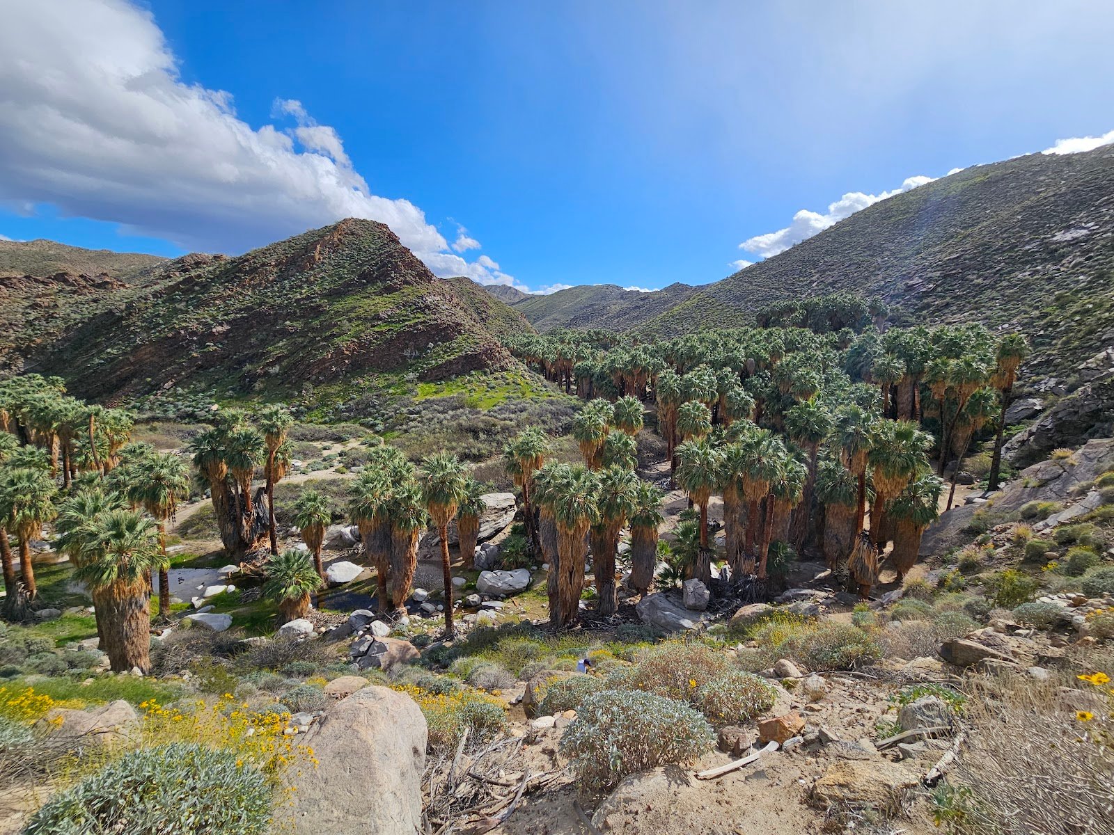 Indian Canyons