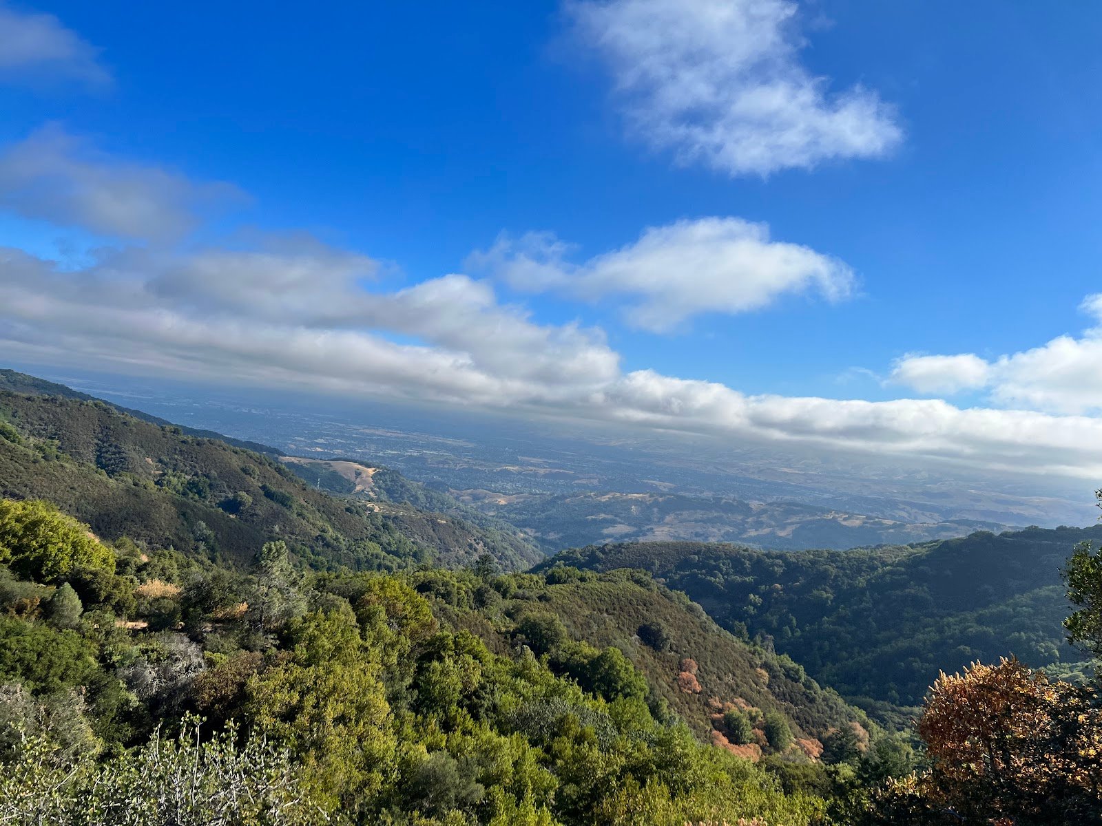 Sierra Azul Open Space Preserve