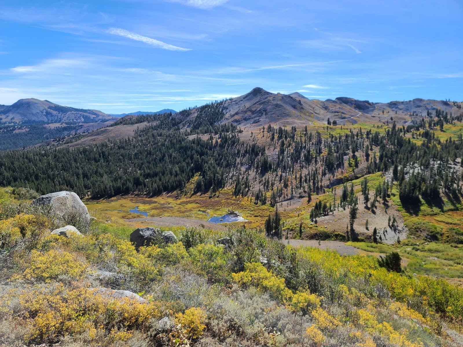 Mokelumne Wilderness Area