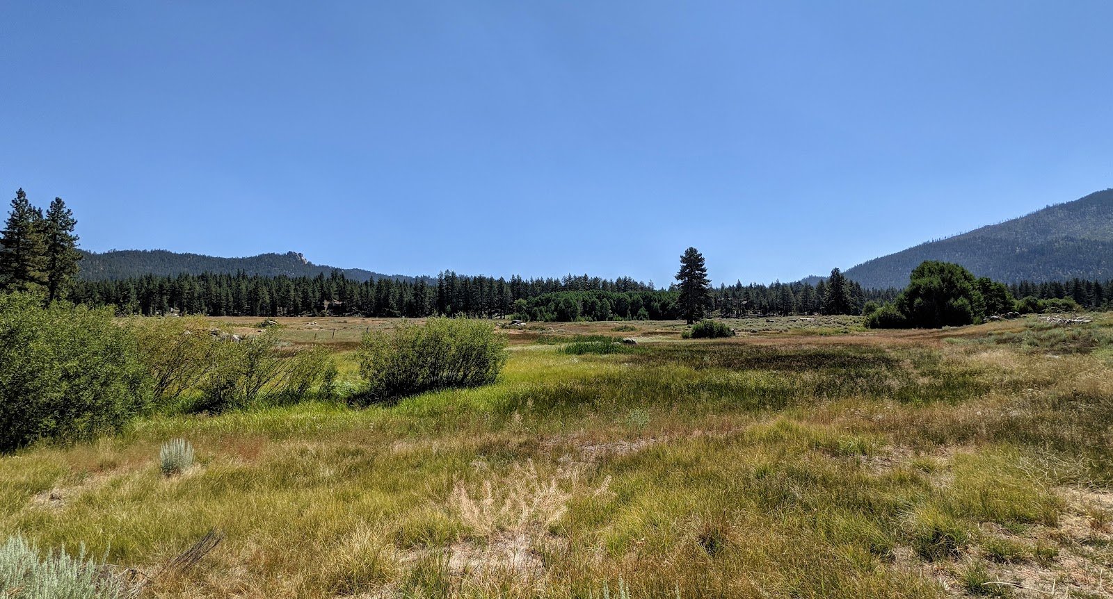 Lam Watah Nature Trail to Nevada Beach