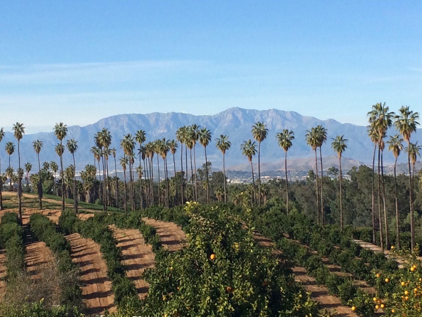 California Citrus State Historic Park