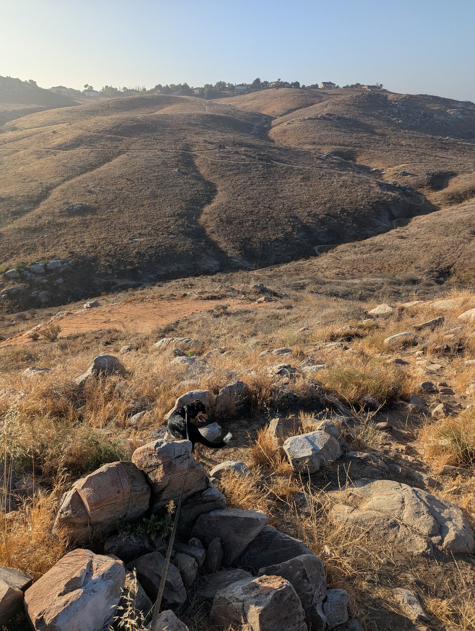 Sycamore Canyon Wilderness Park
