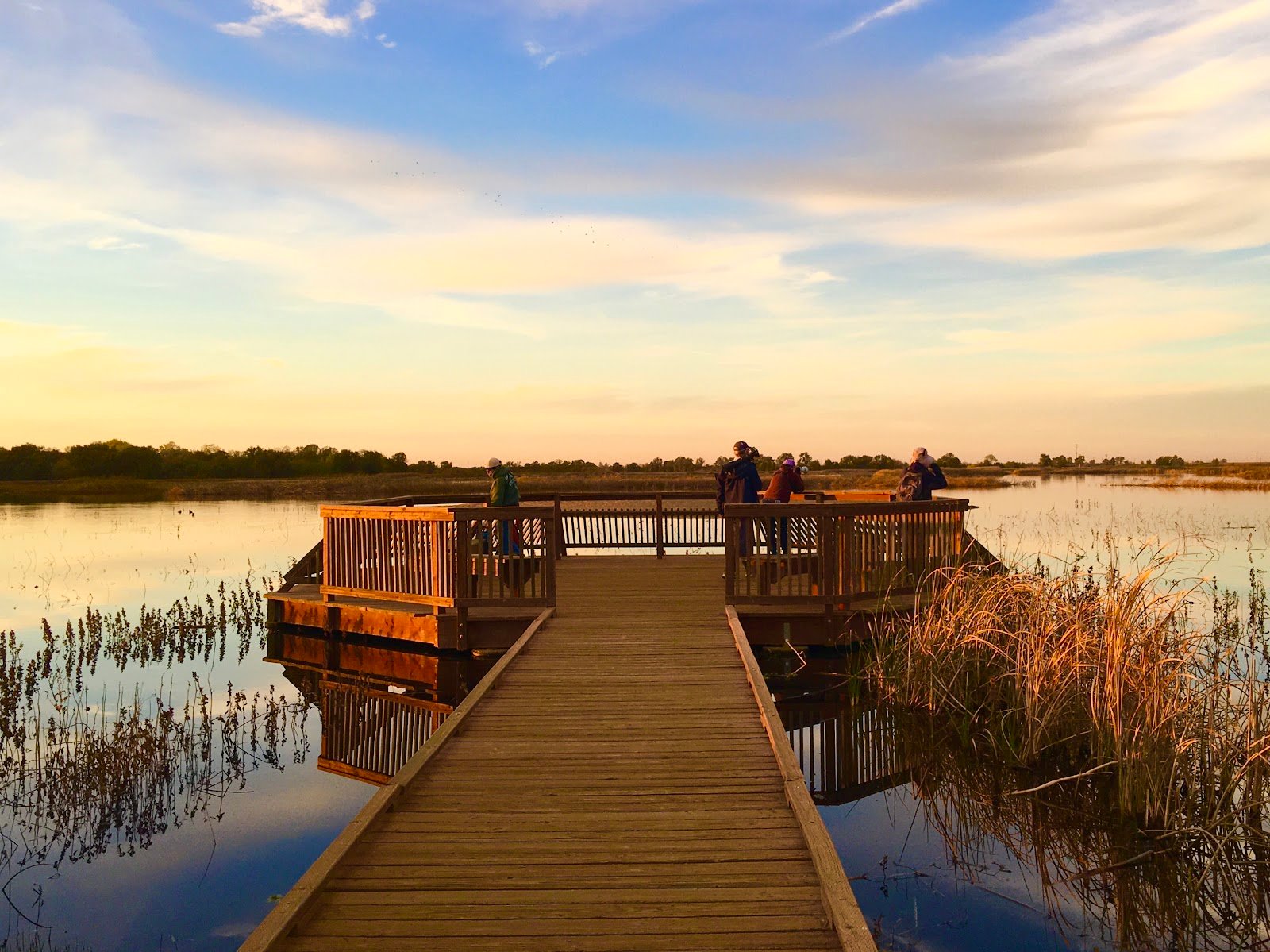 Cosumnes River Preserve