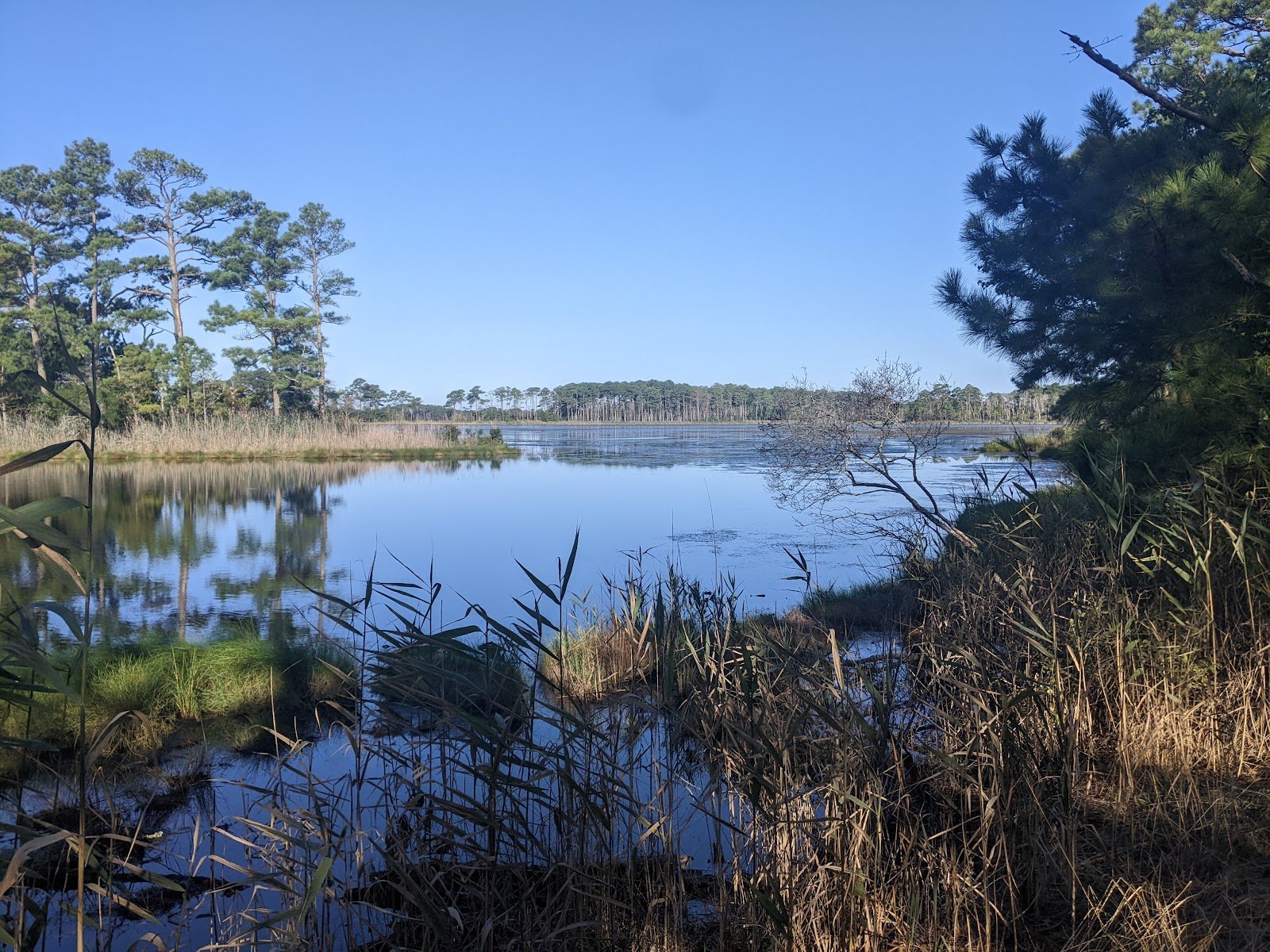 Assawoman Wildlife Area