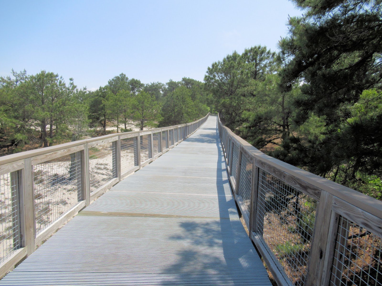Gordons Pond Trail