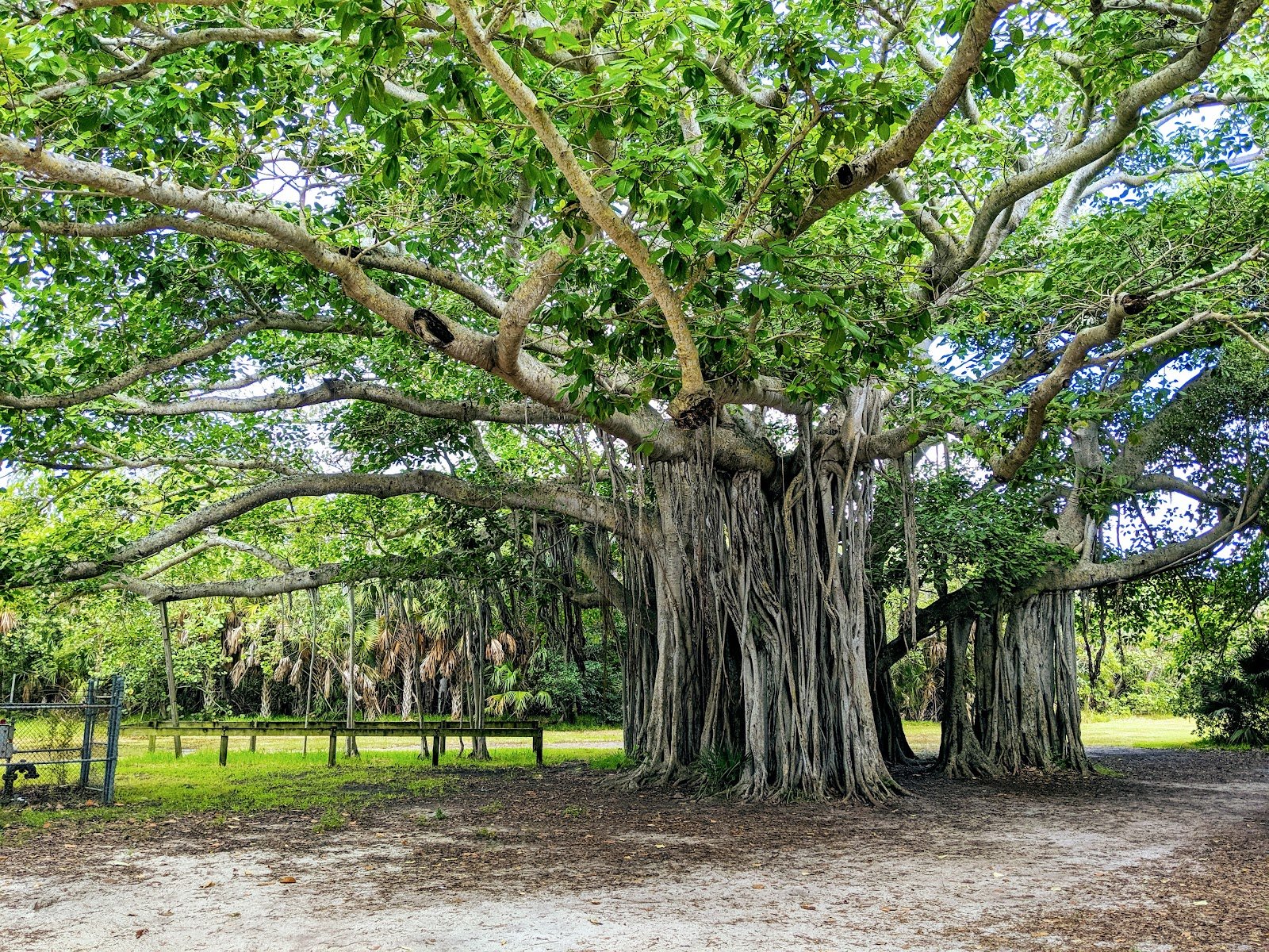 Hugh Taylor Birch State Park