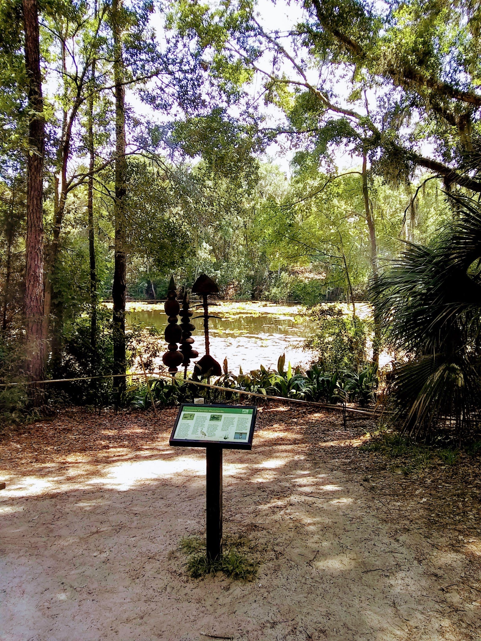 Jacksonville Arboretum & Botanical Gardens