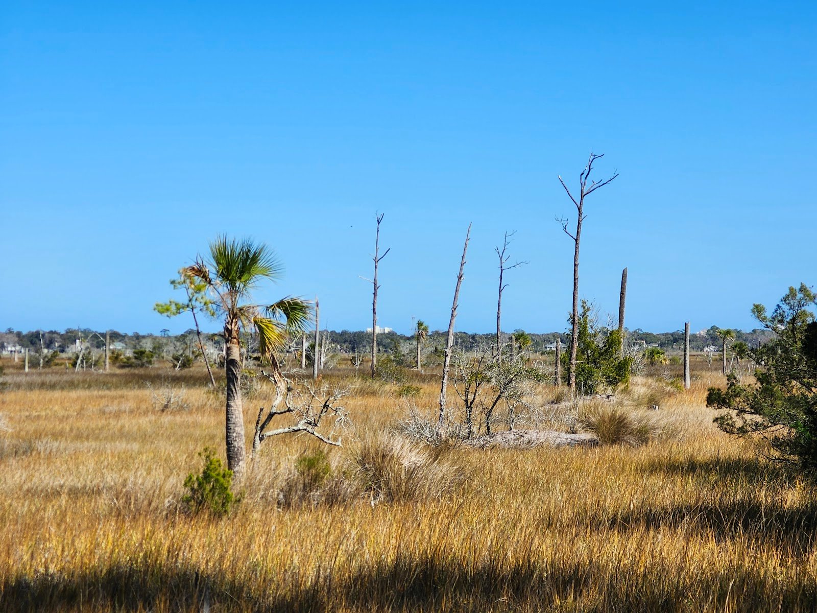 Castaway Island Preserve