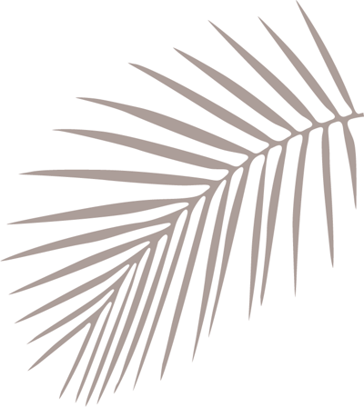 Delicate palm fronds cast gentle shadows against pristine white walls, embodying Qualia's understated tropical elegance where nature's artistry becomes living decor.