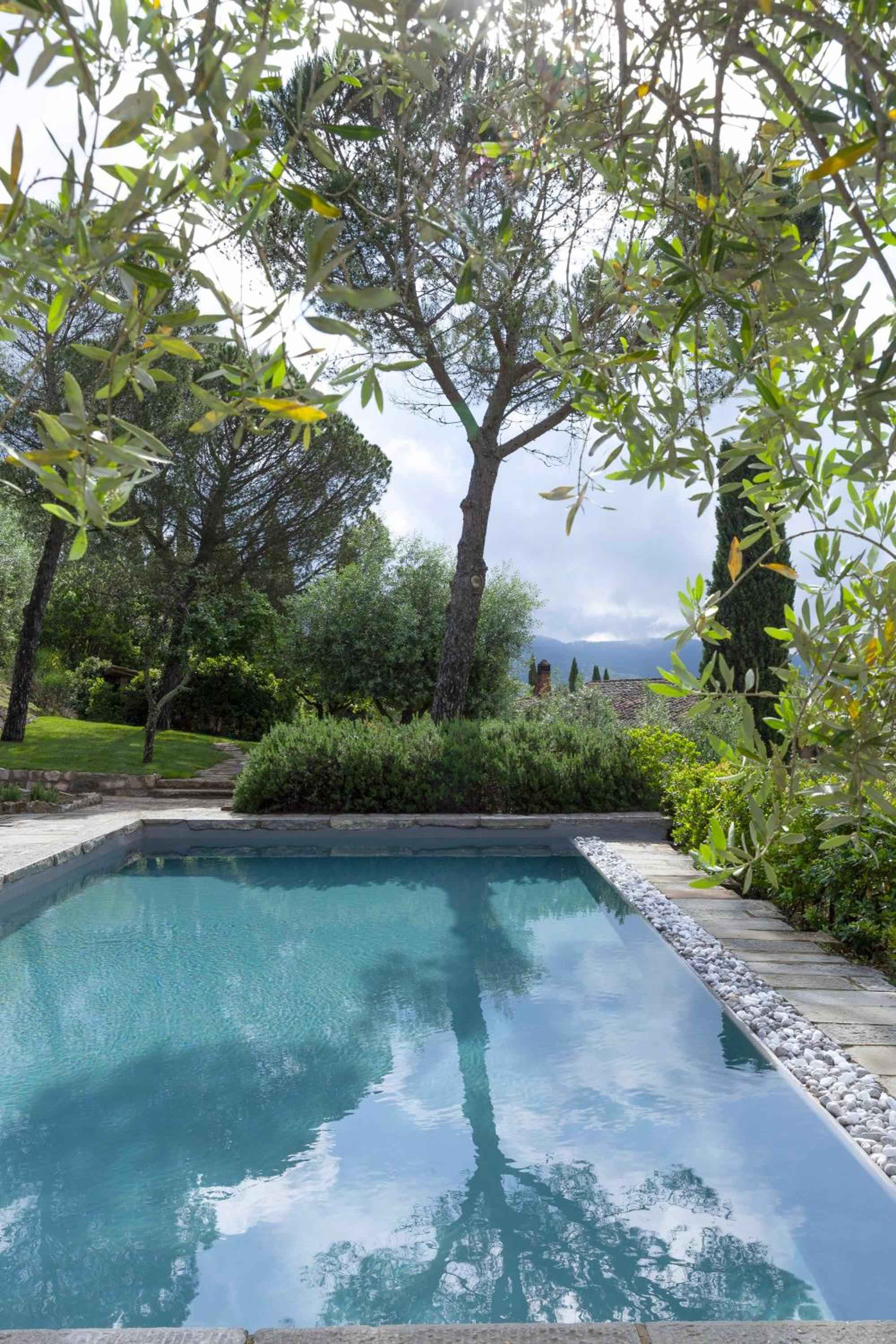Olive branches frame the tranquil swimming pool, where cypress trees and rolling hills create a quintessentially Tuscan backdrop for afternoon swims.