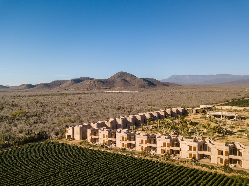 Adobe-style suites cascade across the desert landscape, their earth-toned walls harmonizing with distant mesas while manicured vineyard rows create striking geometric patterns below.