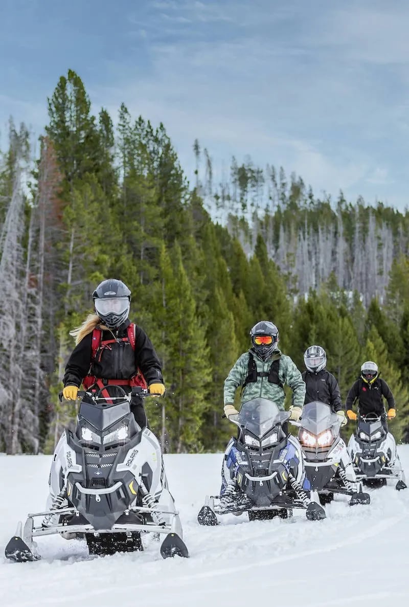 Snowmobiles carve fresh tracks through Montana's pristine wilderness, where winter adventures unfold against towering evergreens and endless powder-dusted landscapes.