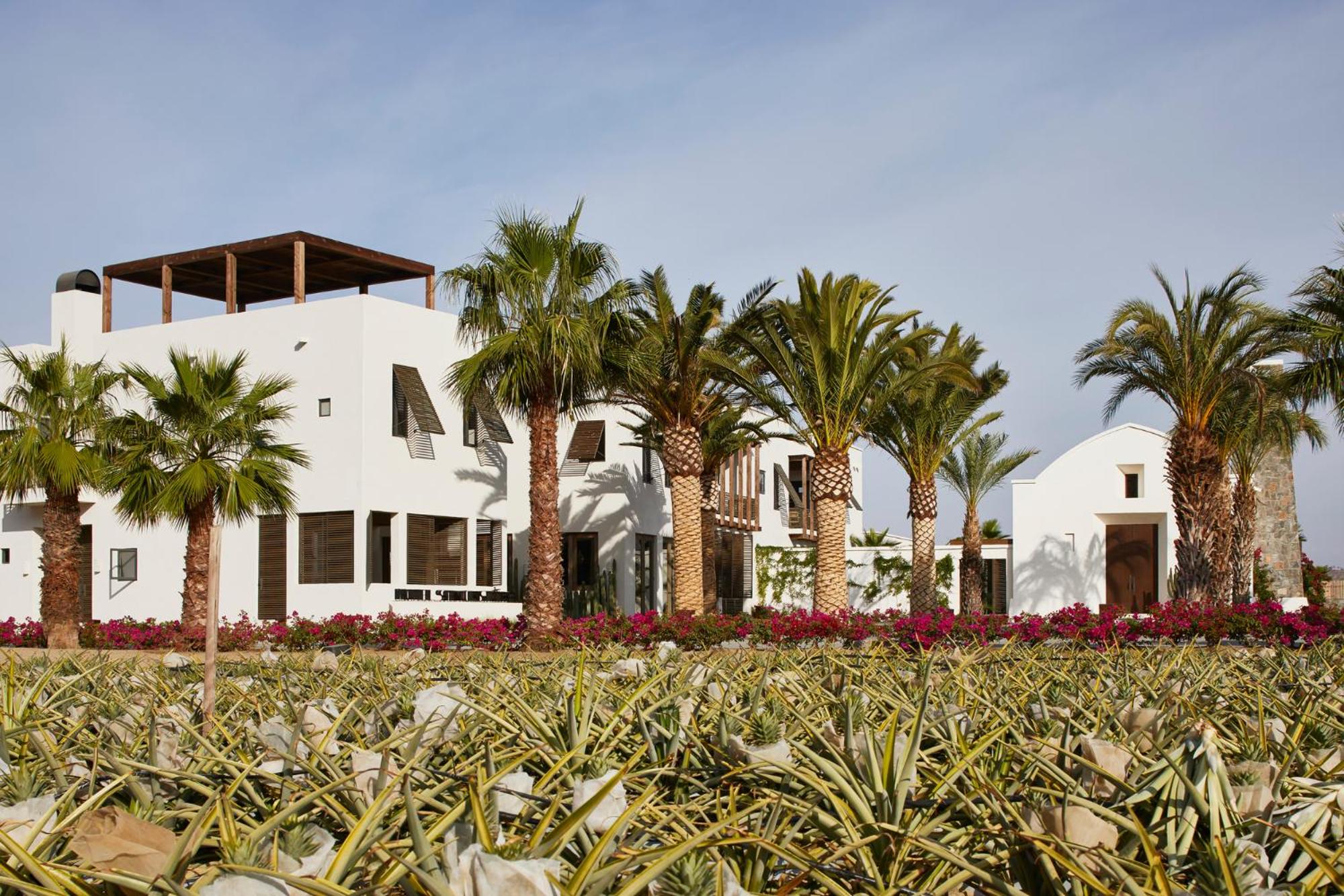 Escape to elegance in Todos Santos in Todos Santos, Baja California Sur