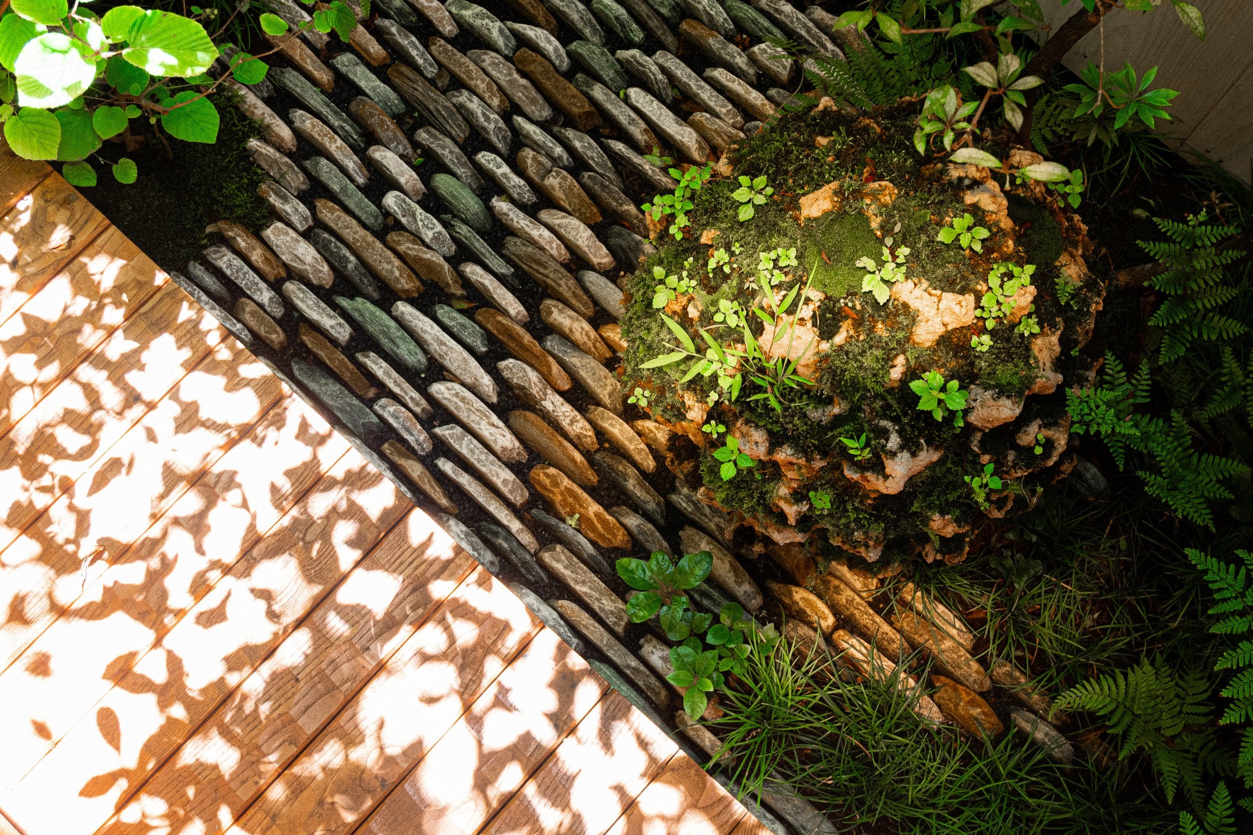 Moss-covered stone and weathered timber create intimate garden moments where ferns unfurl between traditional roof tiles, dappled sunlight filtering through ancient leaves.