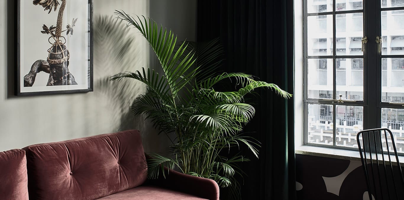 Dusty rose velvet meets botanical drama in this thoughtfully curated corner, where afternoon light filters through industrial windows and palm fronds cast dancing shadows.