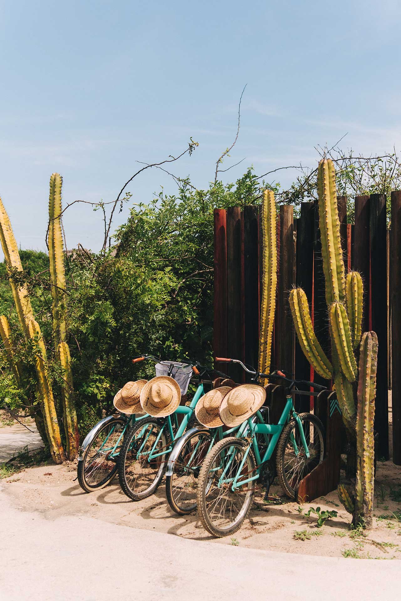Turquoise bicycles adorned with woven sombreros rest against towering cacti, embodying the laid-back Mexican coastal spirit that defines this hidden escape.