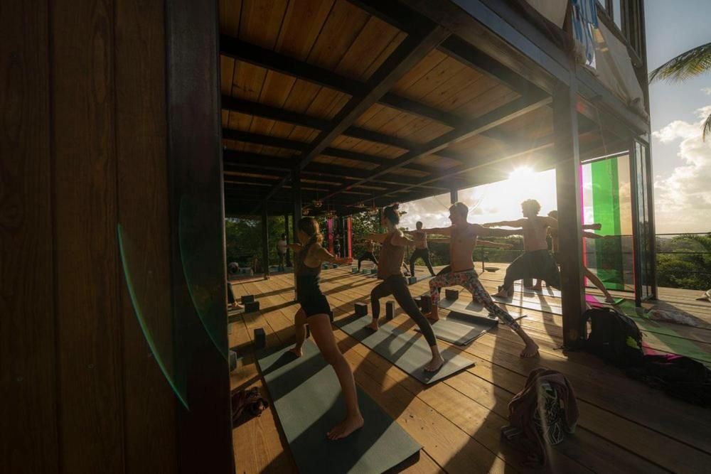 Golden hour streams through the open-air yoga pavilion, where morning sun salutations unfold on polished wood floors beneath exposed timber beams.