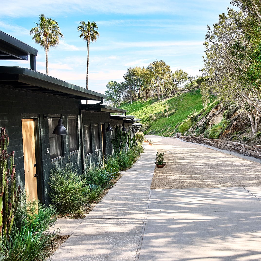 Concrete walkways wind past sleek modern bungalows draped in desert plantings, where industrial lighting meets California casual beneath swaying palms and rolling hillsides.
