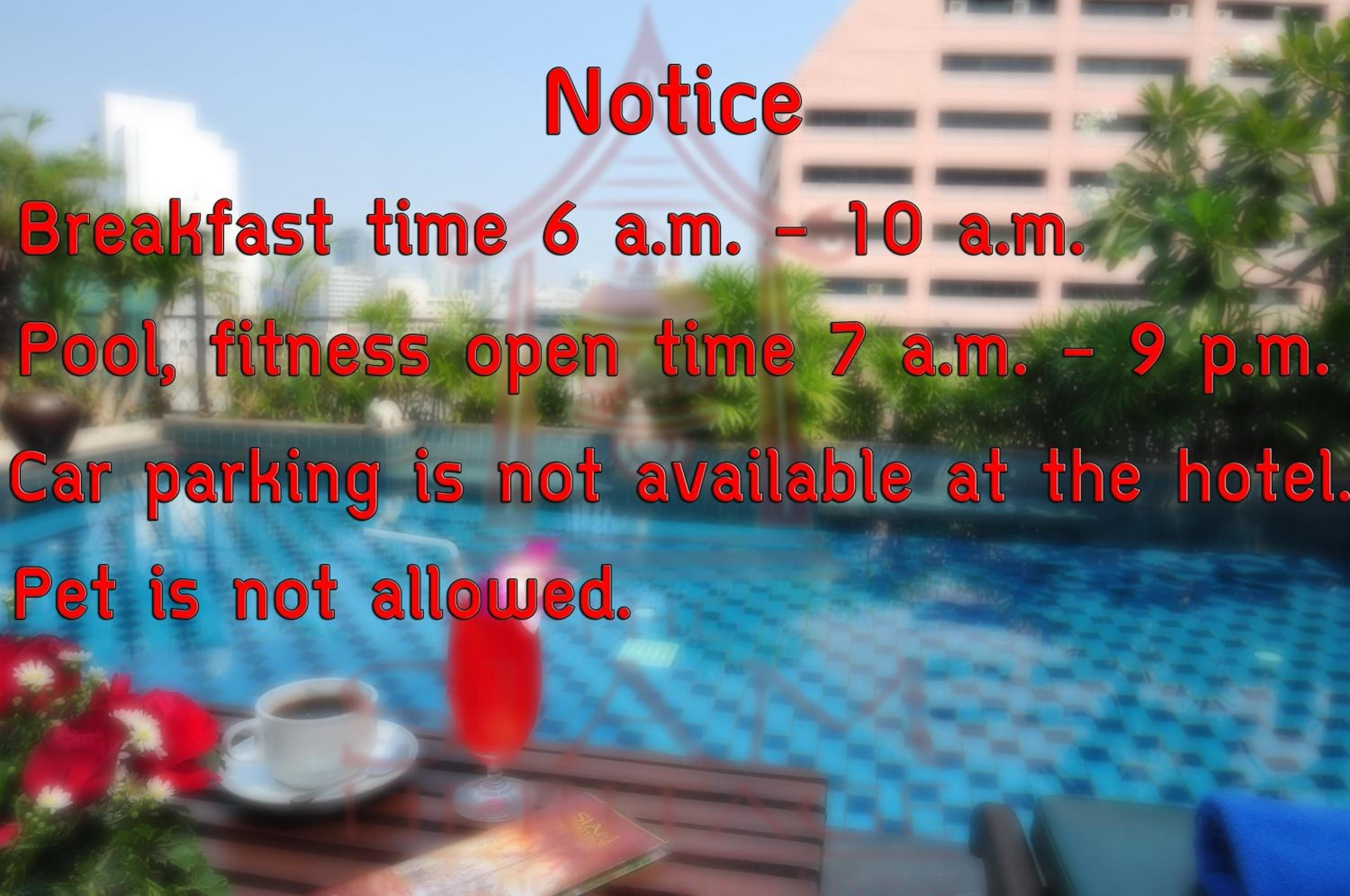 Poolside notices blend practical information with tropical ambiance, where morning coffee and crimson blooms frame crystal-clear waters beneath swaying palms.