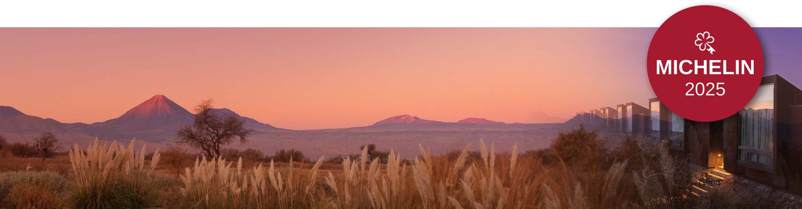 Golden pampas grass catches desert light as Tierra Atacama's contemporary silhouette frames distant volcanic peaks in Chile's otherworldly landscape at sunset.