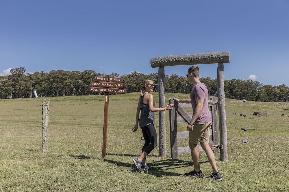 Rustic wooden gates frame mountain trails where guests embark on bushwalking adventures across sprawling countryside dotted with grazing cattle beneath endless Queensland skies.