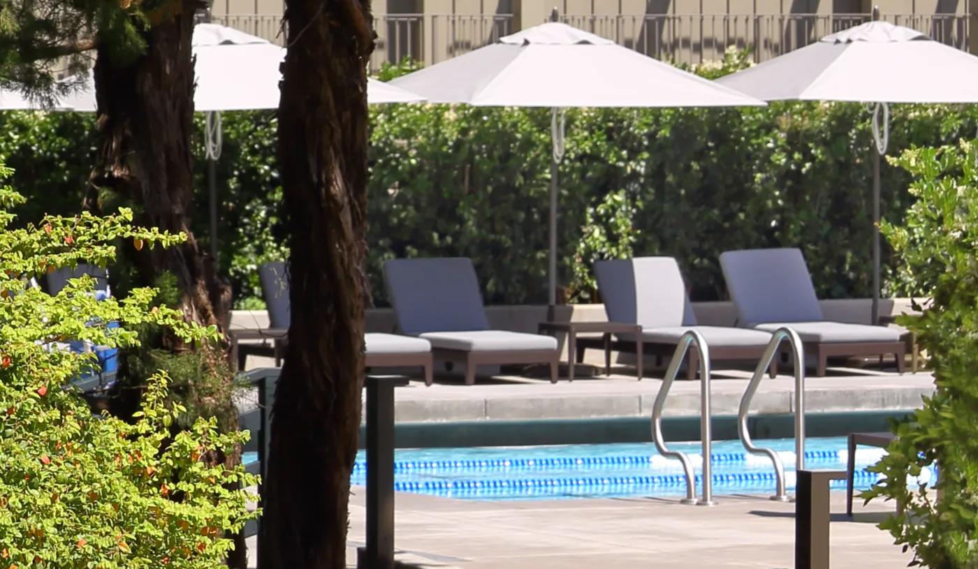 Sunlight filters through mature trees onto sleek poolside loungers, where white umbrellas cast cooling shadows over this serene aquatic retreat surrounded by lush Napa Valley landscaping.