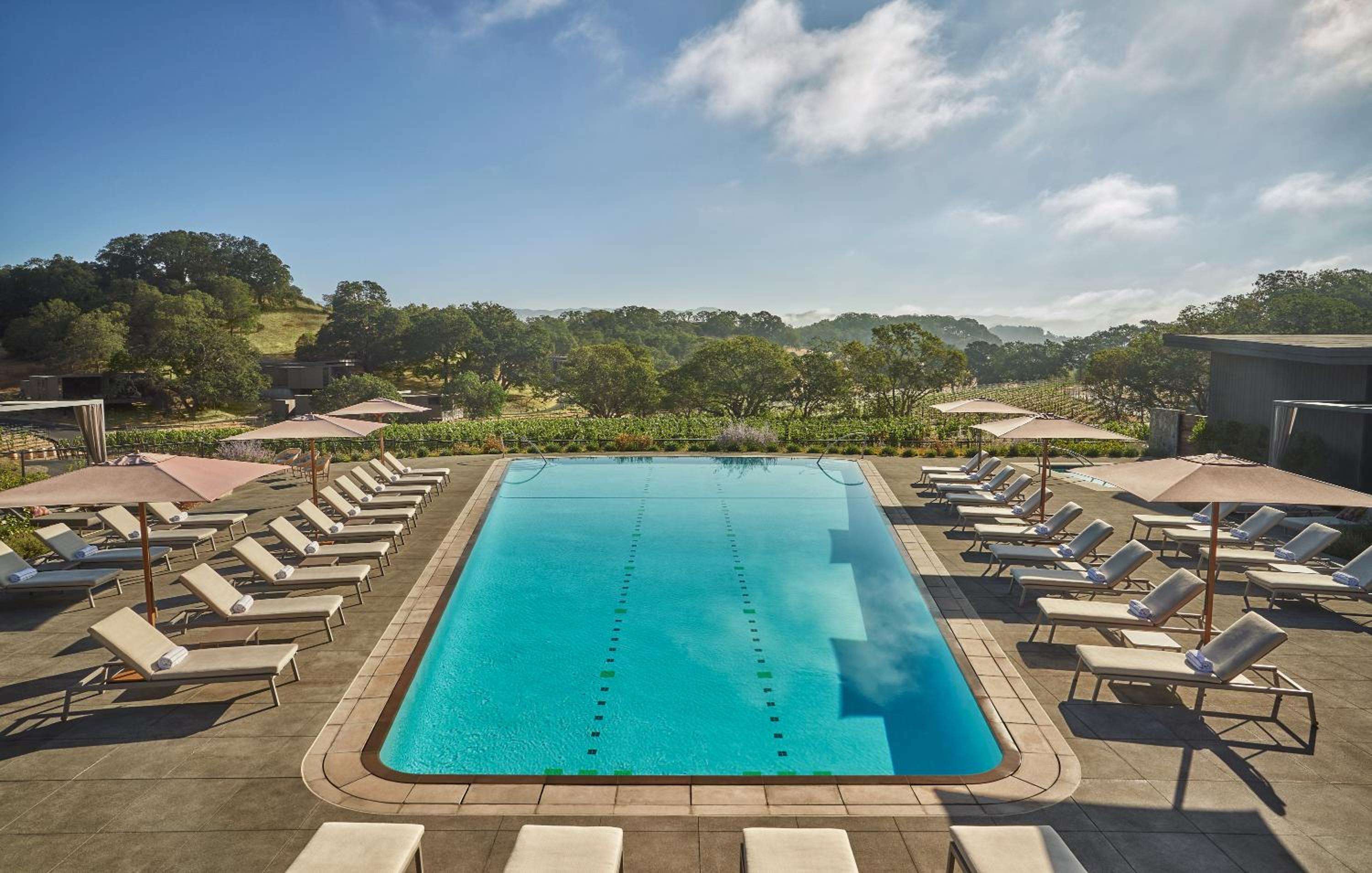 Lane lines bisect the azure lap pool where vineyard views stretch toward rolling Sonoma hills, umbrellas casting precise shadows across sun-warmed stone decking.