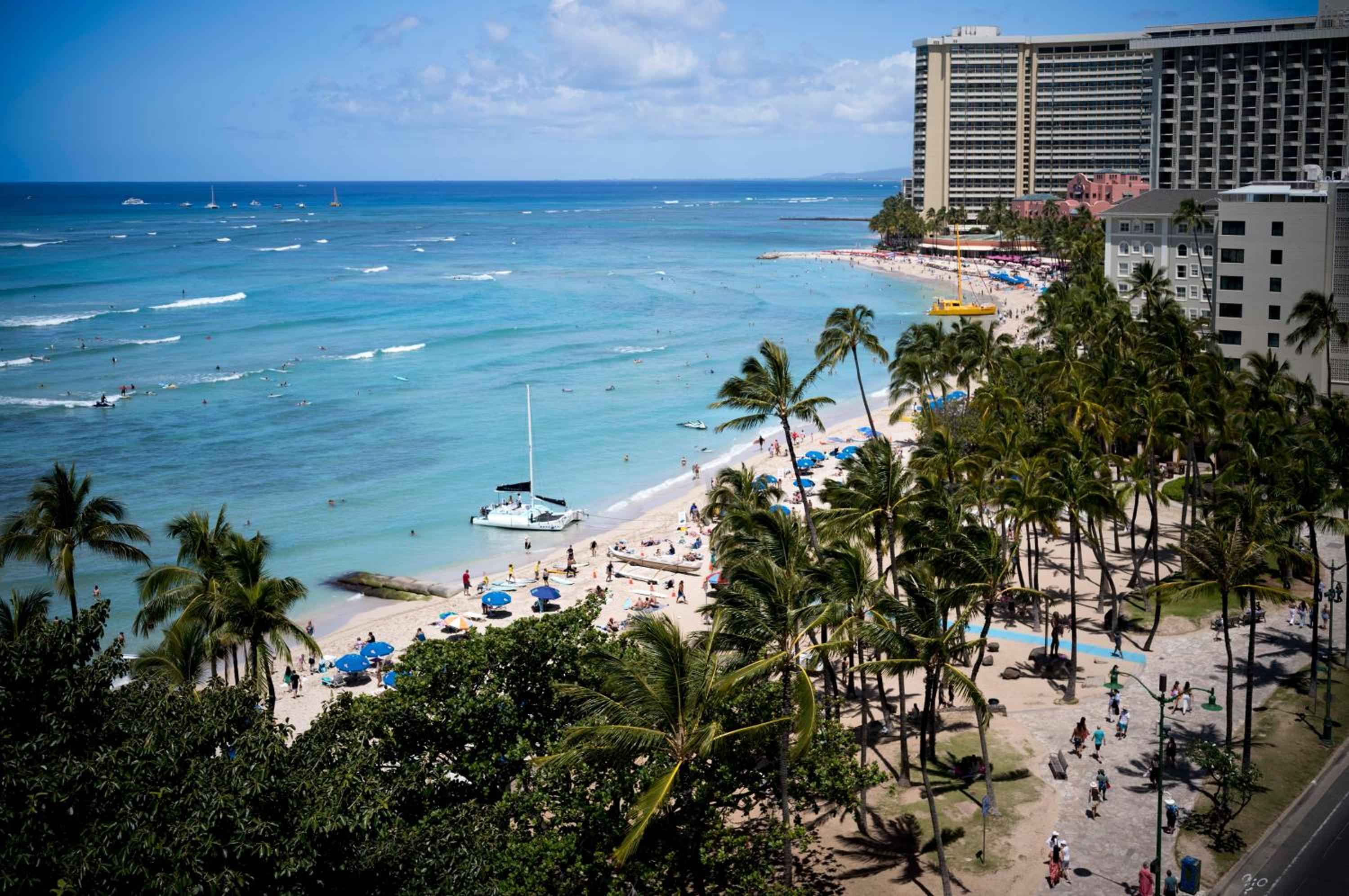 Waikiki's legendary crescent of sand unfolds below, where turquoise waters meet swaying palms and high-rise hotels frame one of the world's most iconic urban beaches.
